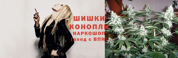 скорость Новодвинск