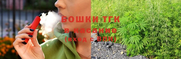 ПСИЛОЦИБИНОВЫЕ ГРИБЫ Бикин