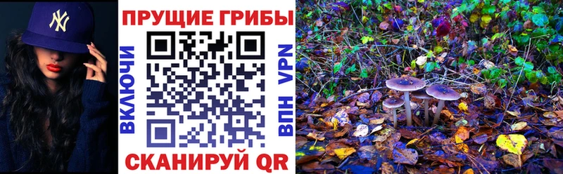 Псилоцибиновые грибы ЛСД  Ядрин 